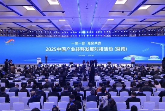 zI(y)2025Їa(chn)I(y)D(zhun)ưl(f)չӻӣϣ
